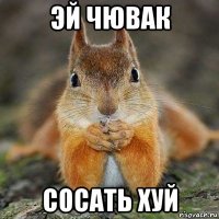 эй чювак сосать хуй