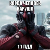 когда человек нарушл 1.1 пдд