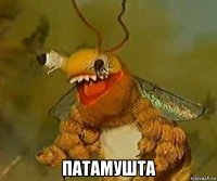  патамушта