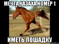 мечта казаха номер 1 иметь лошадку