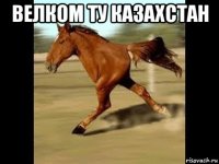 велком ту казахстан 