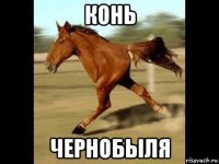 конь чернобыля
