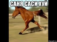 саня саси хуй 