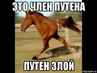 это член путена путен злой