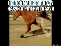 но пойманы в пизду нахуй я рыгнул нахуй 
