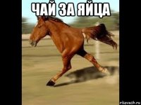 чай за яйца 
