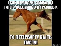 если президент забрал из питера всех умных и красивых то петербургу быть пусту!