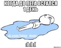 когда до лета остался 1 день :( :( :(