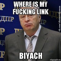 where is my fucking link biyach