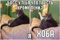 босс:у тебя что то есть кроме лени ? я: