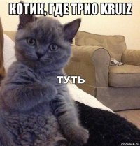 котик, где трио kruiz 