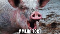  у меня тост