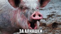  за алкашей