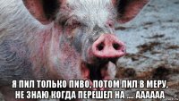  я пил только пиво, потом пил в меру, не знаю когда перешел на .... аааааа