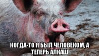 когда-то я был человеком, а теперь алкаш