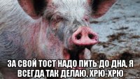  за свой тост надо пить до дна, я всегда так делаю, хрю-хрю
