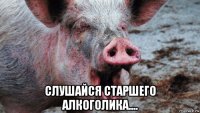  слушайся старшего алкоголика....