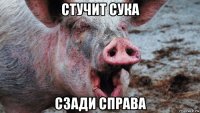 стучит сука сзади справа