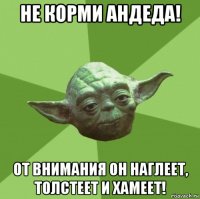 не корми андеда! от внимания он наглеет, толстеет и хамеет!