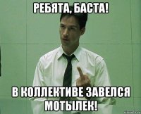 ребята, баста! в коллективе завелся мотылек!