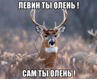 левин ты олень ! сам ты олень !