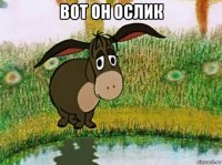 вот он ослик 