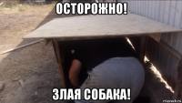 осторожно! злая собака!