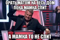 орать матом на весь дом пока мамка спит а мамка то не спит