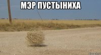 мэр пустыниха 