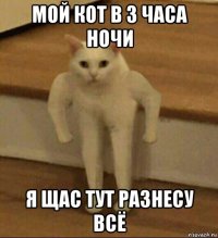 мой кот в 3 часа ночи я щас тут разнесу всё