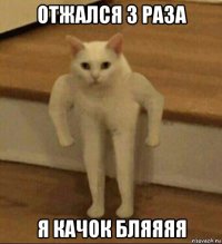 отжался 3 раза я качок бляяяя