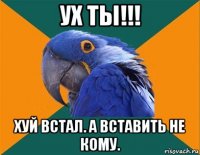 ух ты!!! хуй встал. а вставить не кому.