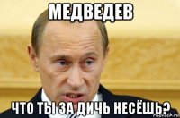 медведев что ты за дичь несёшь?