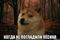  когда не погладили пёсика