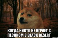  когда никто не играет с пёсиком в black desert