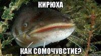 кирюха как сомочувстие?