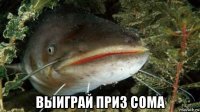  выиграй приз сома