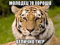 молодец 78 хорошо отлично тигр