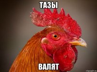 тазы валят