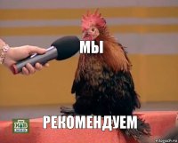 МЫ РЕКОМЕНДУЕМ