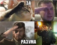 за разума