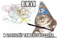 вжух и блохолёт тяжелее воздуха