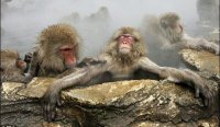 Создать мем - Агатакая вот я счастливая