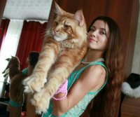 Создать мем Алекс