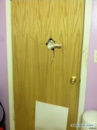 Создать мем Heres Johnny
