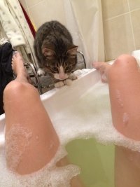 Создать мем КОТ И БЕЗДНА
