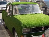 Создать мем Машина с газоновым покрытием