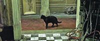 Создать мем Матрица дежа вю
