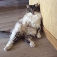 Создать мем Устал