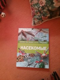 Создать мем Зеленый